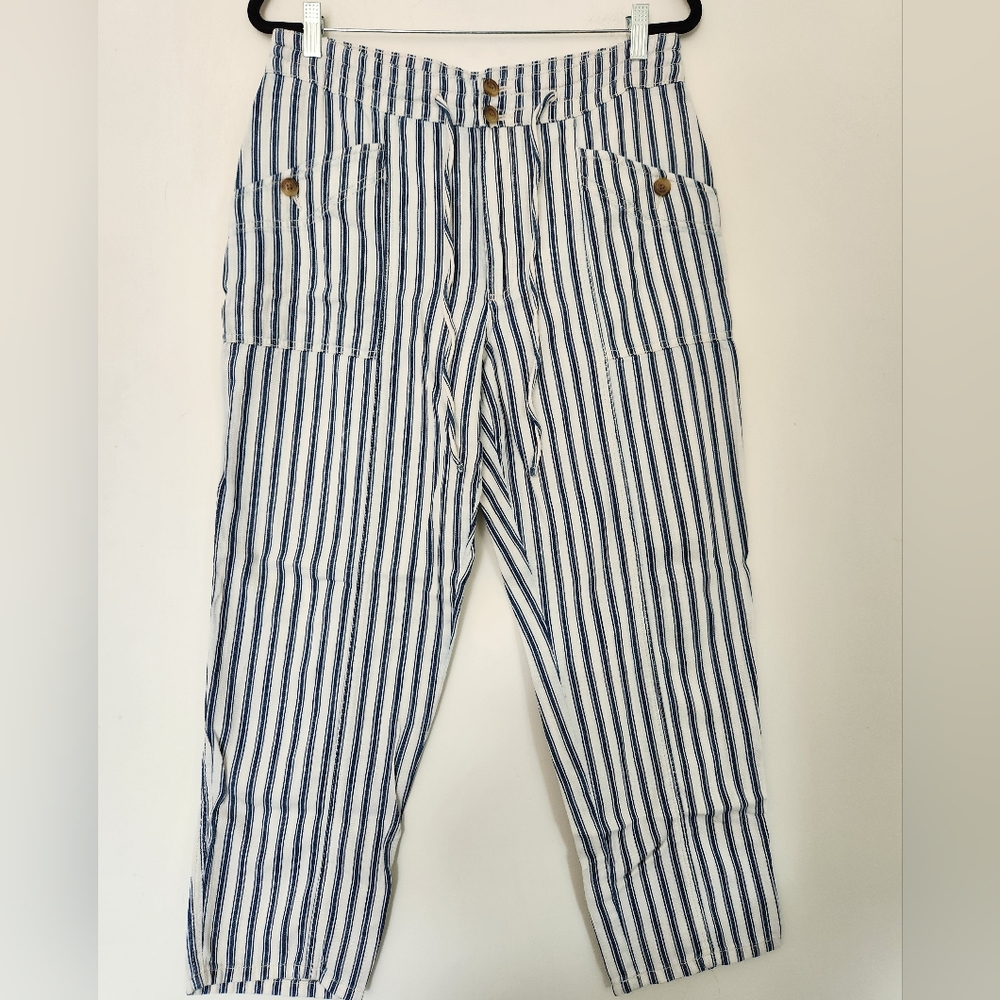 American Eagle Outfitters Blue and White Striped Cropped Pants